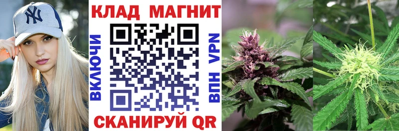 Виды наркотиков купить Городец ГАШ  Канабис  Амфетамин  Меф  COCAIN 