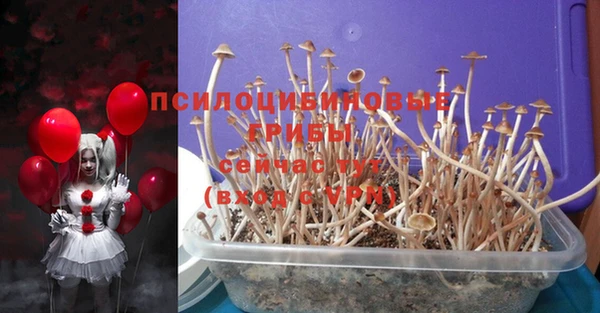 ГАЛЛЮЦИНОГЕННЫЕ ГРИБЫ Бронницы