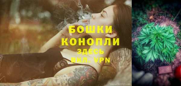ГАЛЛЮЦИНОГЕННЫЕ ГРИБЫ Верея
