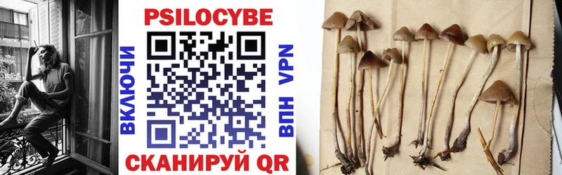 shop формула  Городец  Псилоцибиновые грибы Psilocybine cubensis 